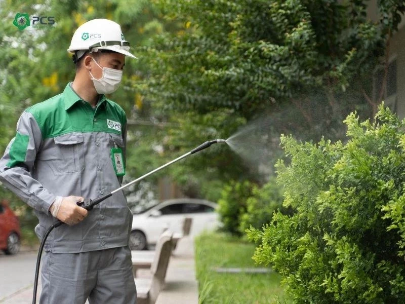 Phun thuốc diệt muỗi tại nhà có độc hại không